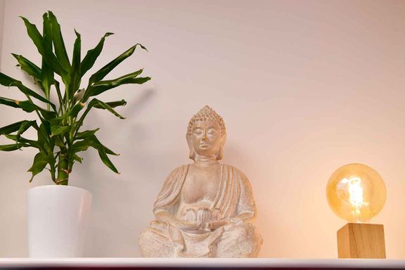 Buddha blanc plante et lampe